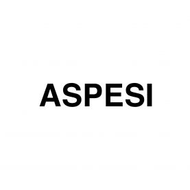 Aspesi-logo-Paper-Planet
